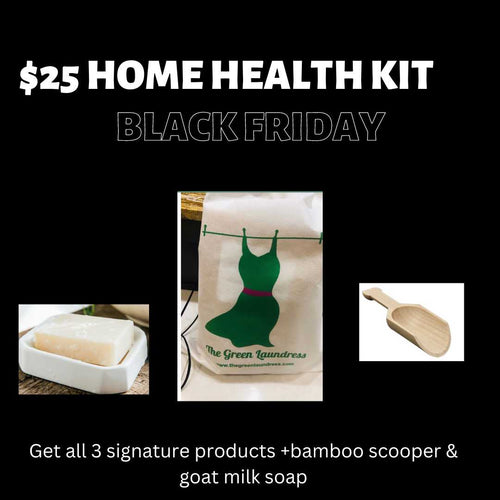 Healthy Holiday Home Kit Tote Healthy Holiday Home Kit Tote thegreenlaundress Healthy Holiday Home Kit Tote